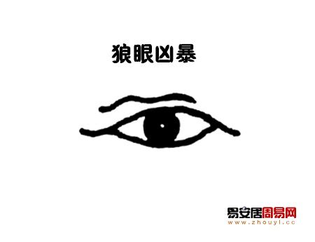 狼眼面相|面相解析何為狼眼